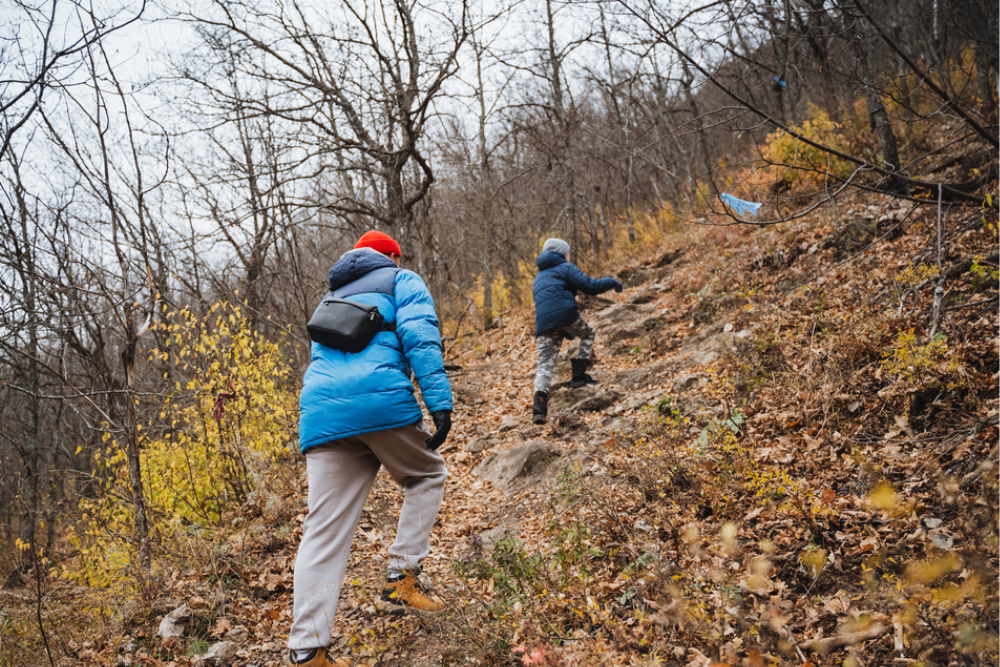 Climbing and Nature Strolls: