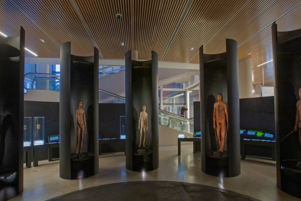 Museum of Human Evolution (Museo de la Evolucion Humana)
