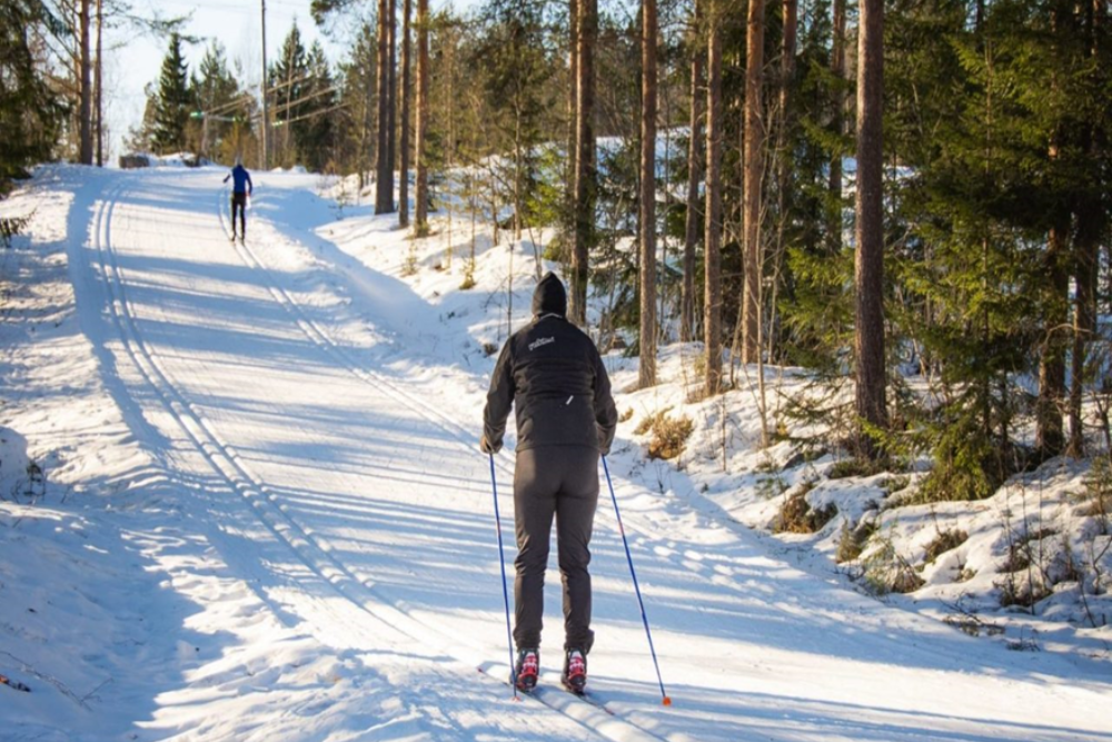 Cross-Country Skiing
