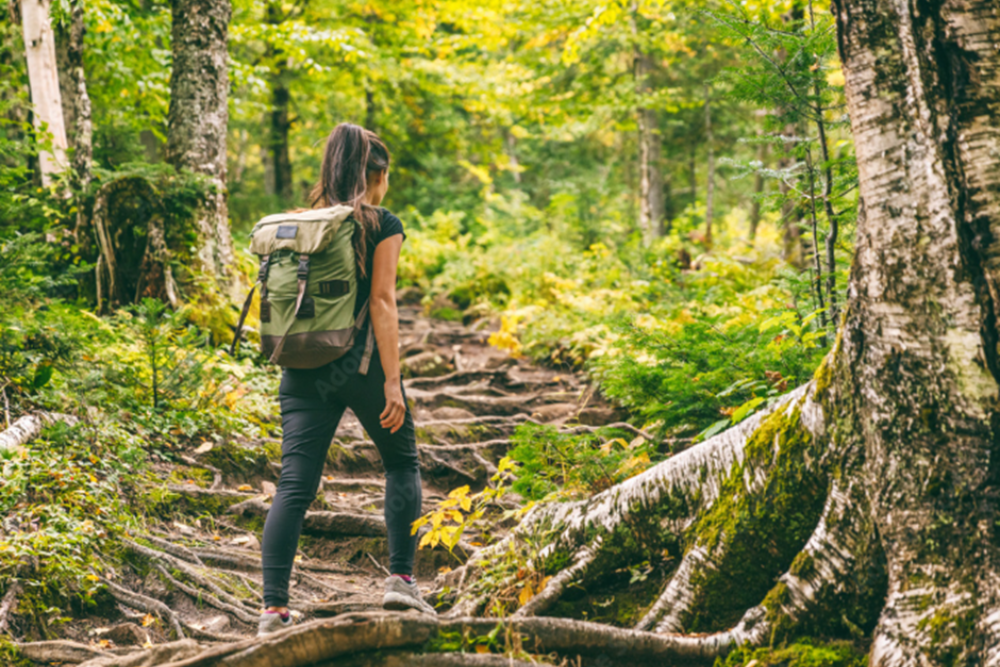 Hiking and Trekking