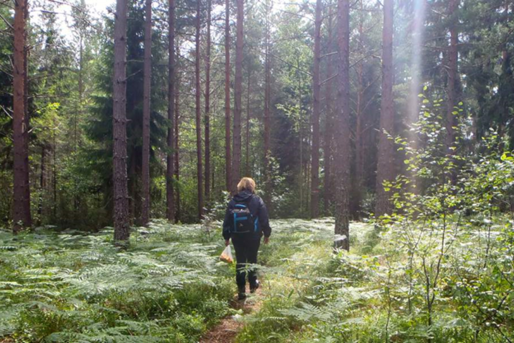 Hiking on the Sormlandsleden Trail