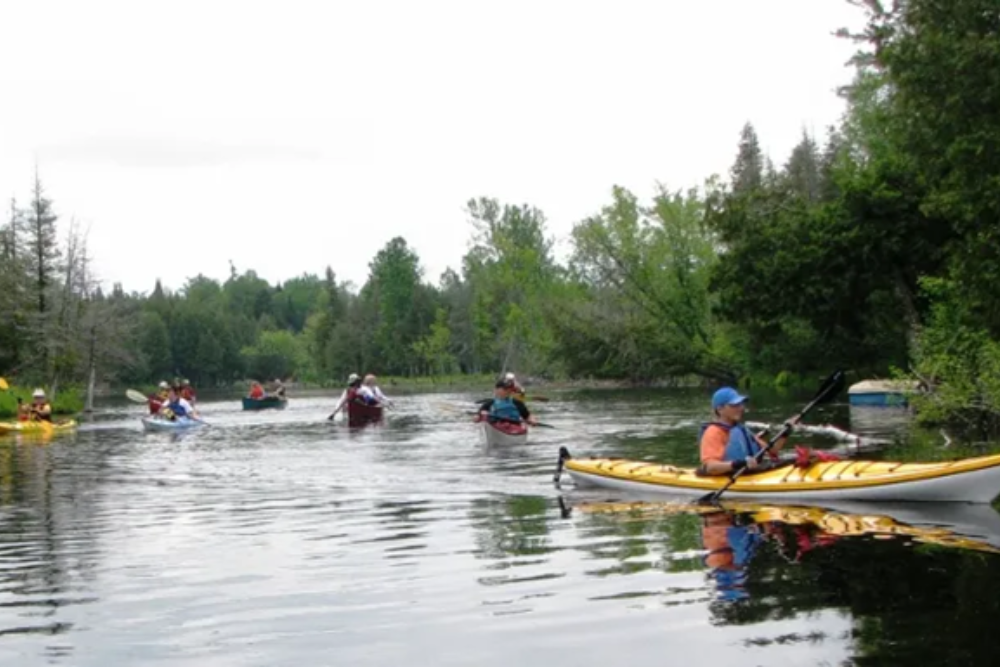 Clyde Walkway and Kayaking