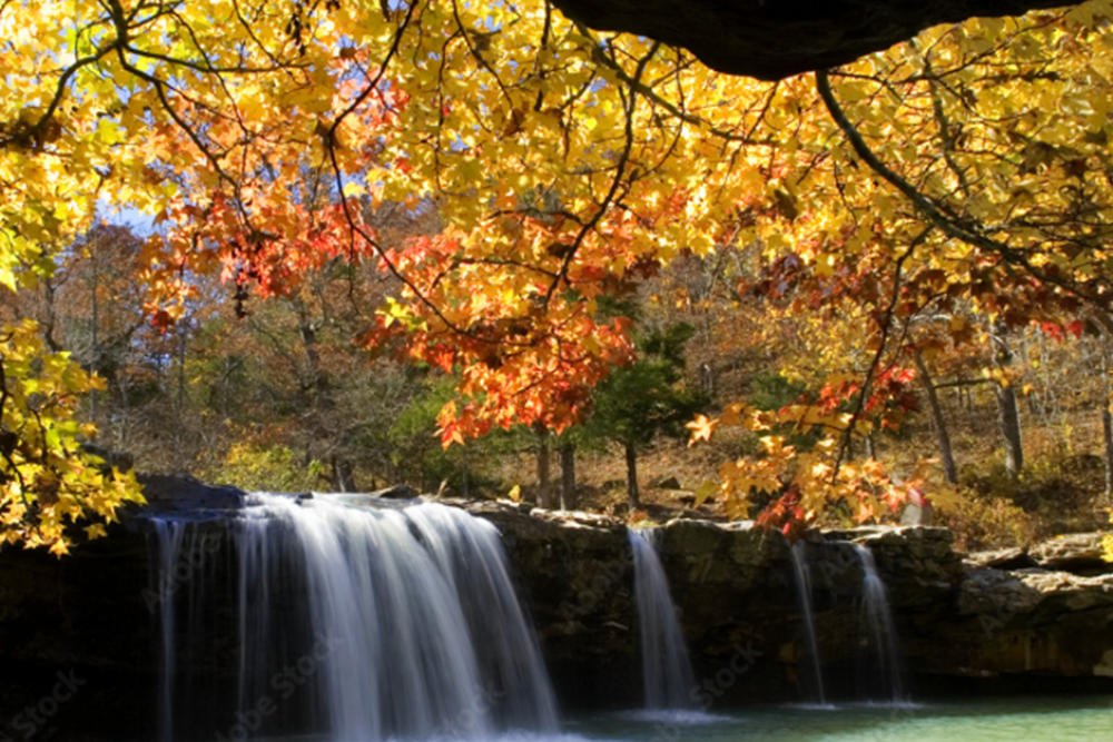 Ozark National Forest