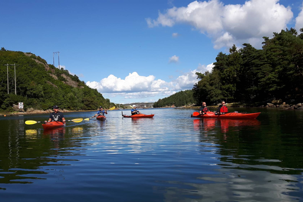 Kayaking in Vejle Fjord