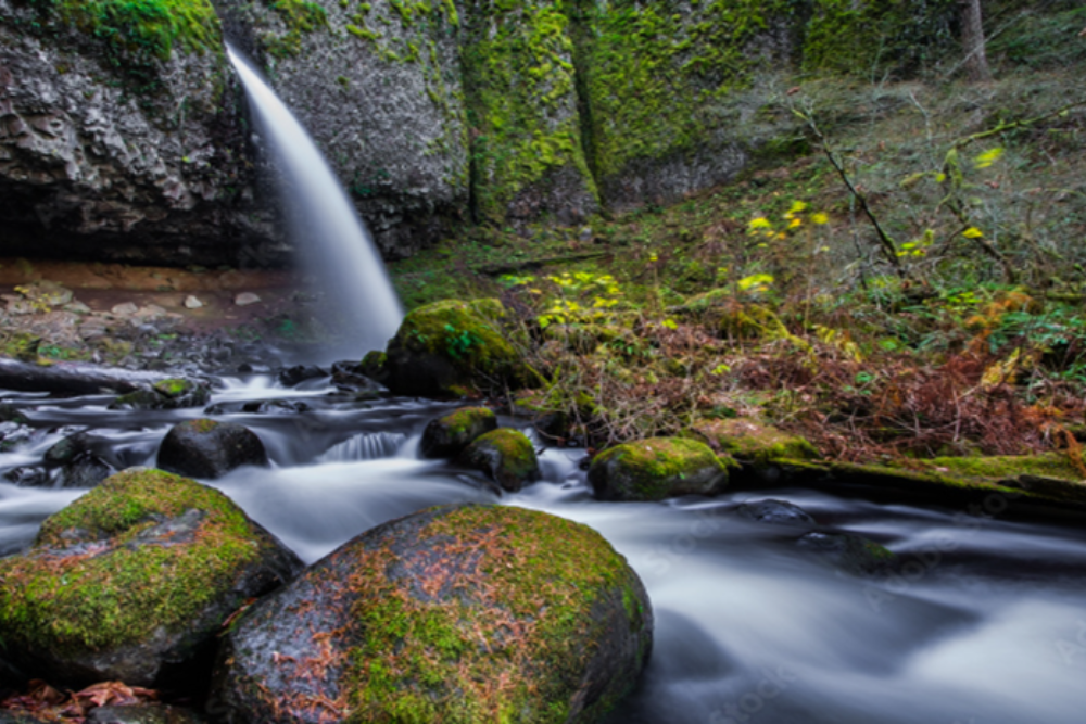 Columbia Stream Chasm