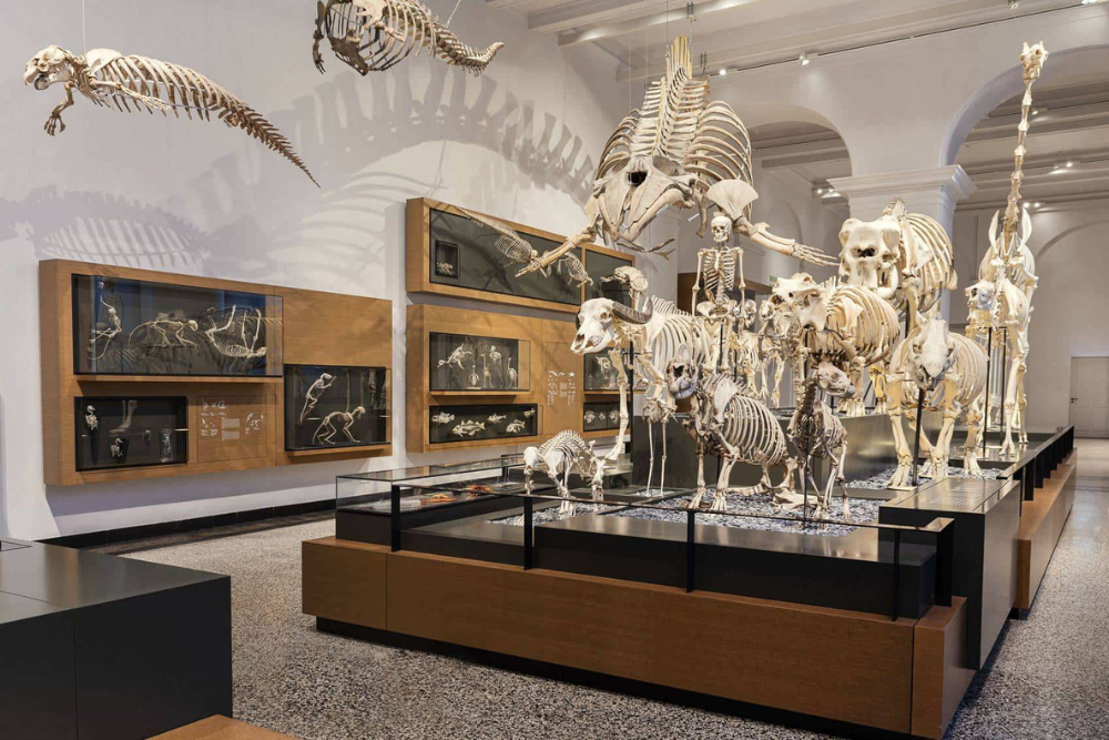 Hessian State Museum