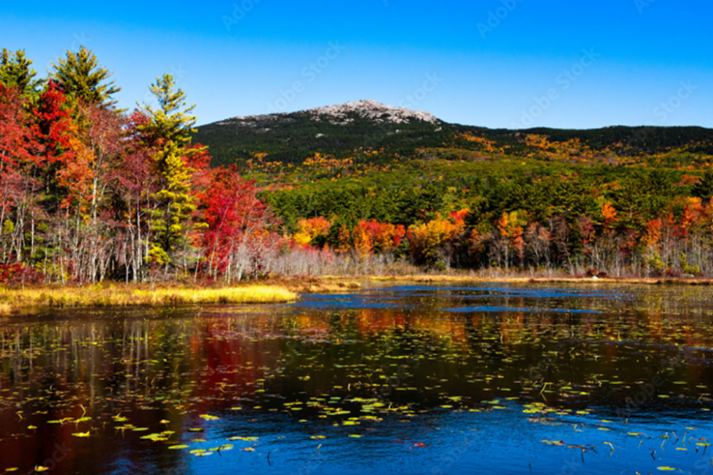 Mount Monadnock