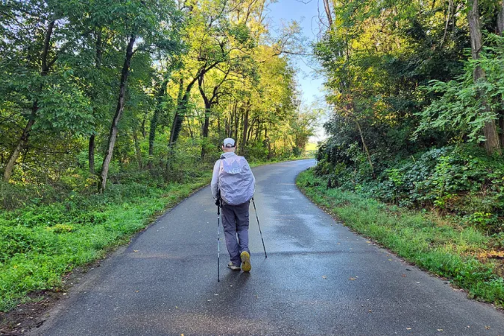 Hiking in the Apennine Foothills