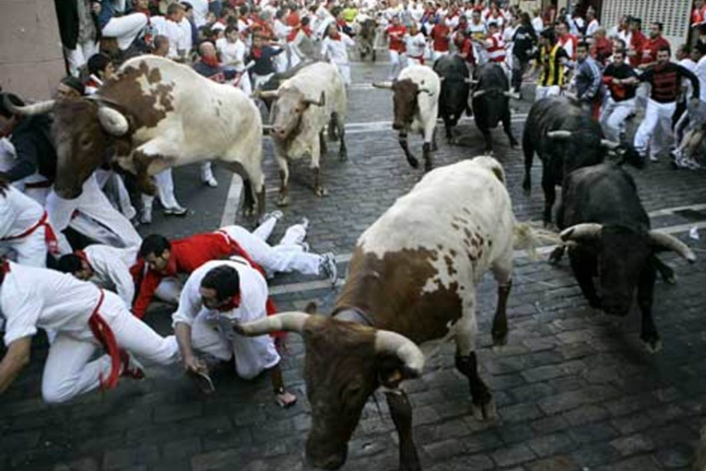 Walk the Encierro Course