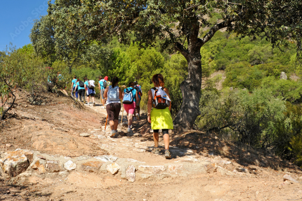 Hikes in Natural Parks: