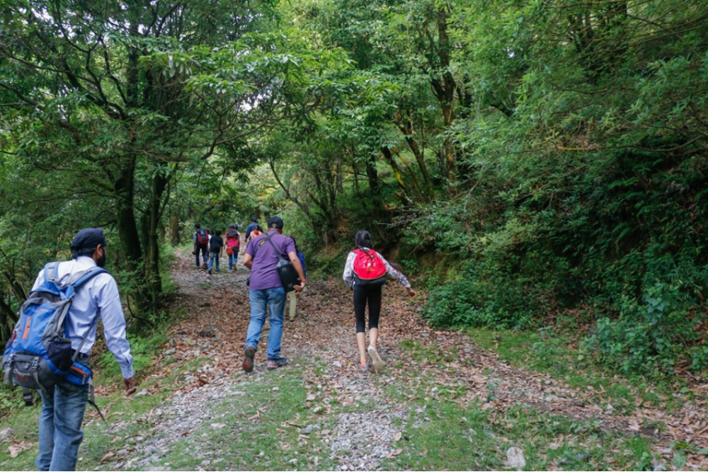 Hiking in Bose up Forest
