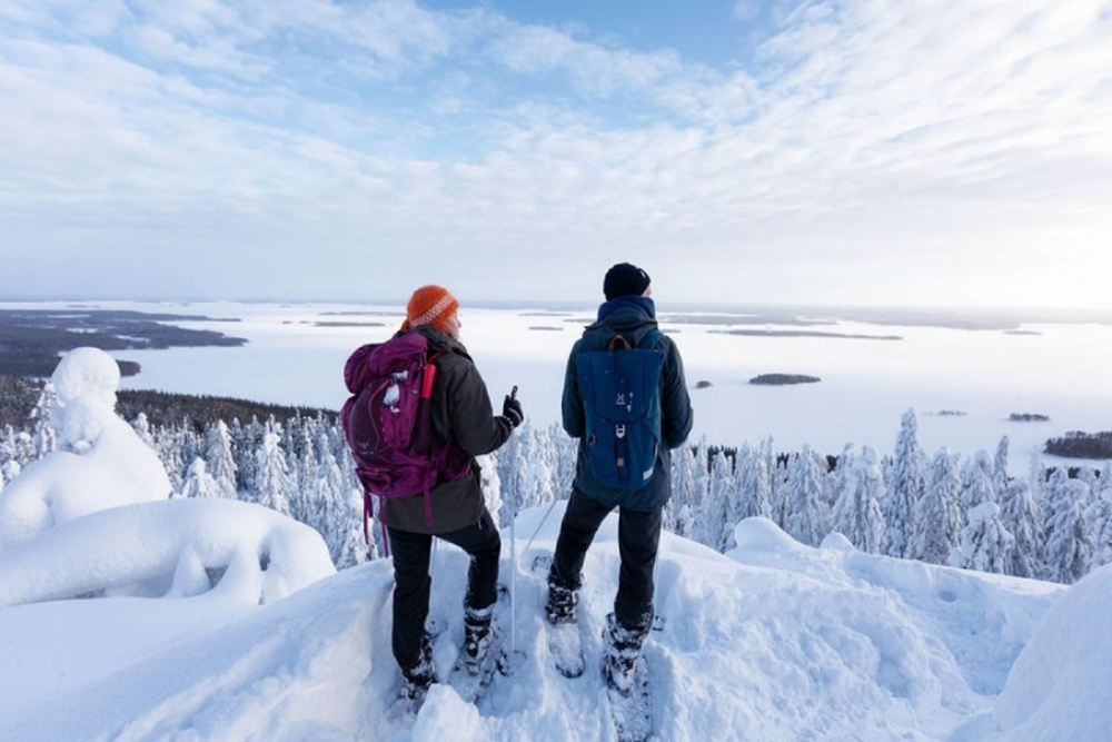 Snowshoeing Through Snowy Forests