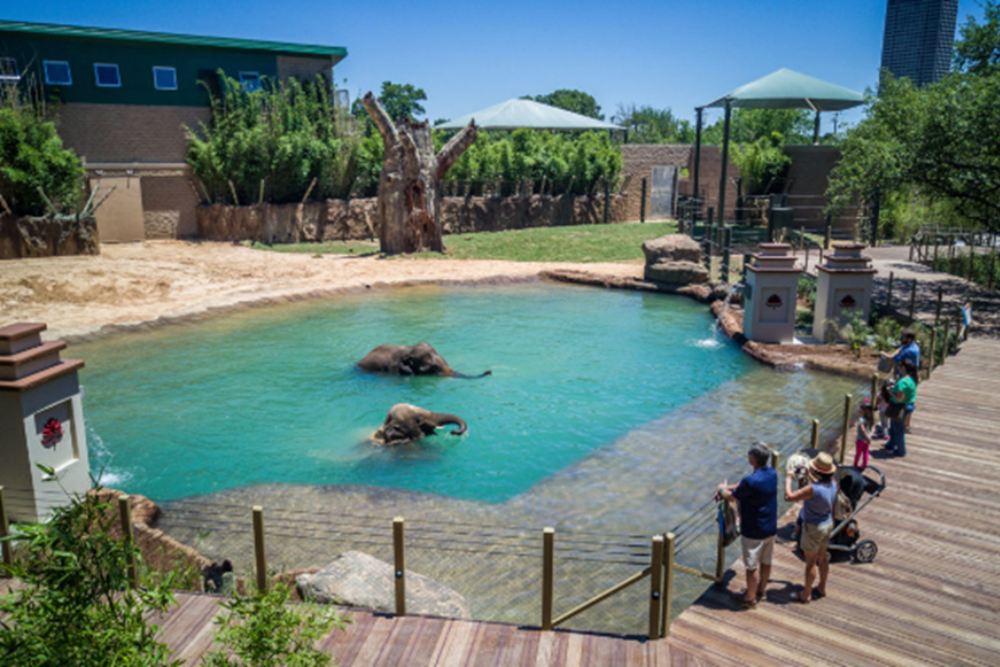 Hermann Park and the Houston Zoo
