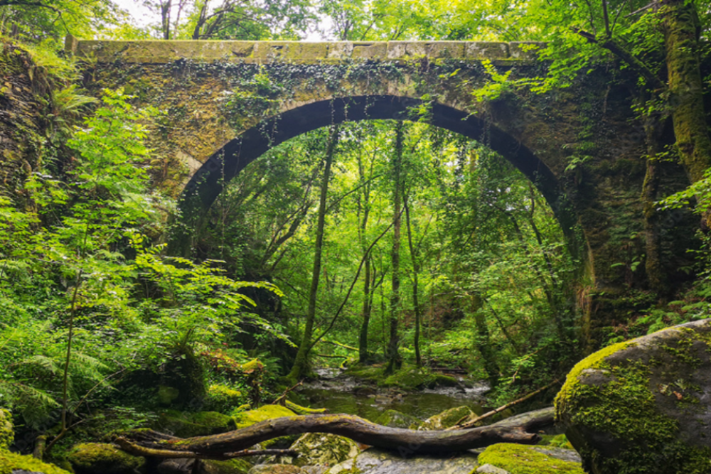 Canyoning in the Fragas do Eume Natural Park