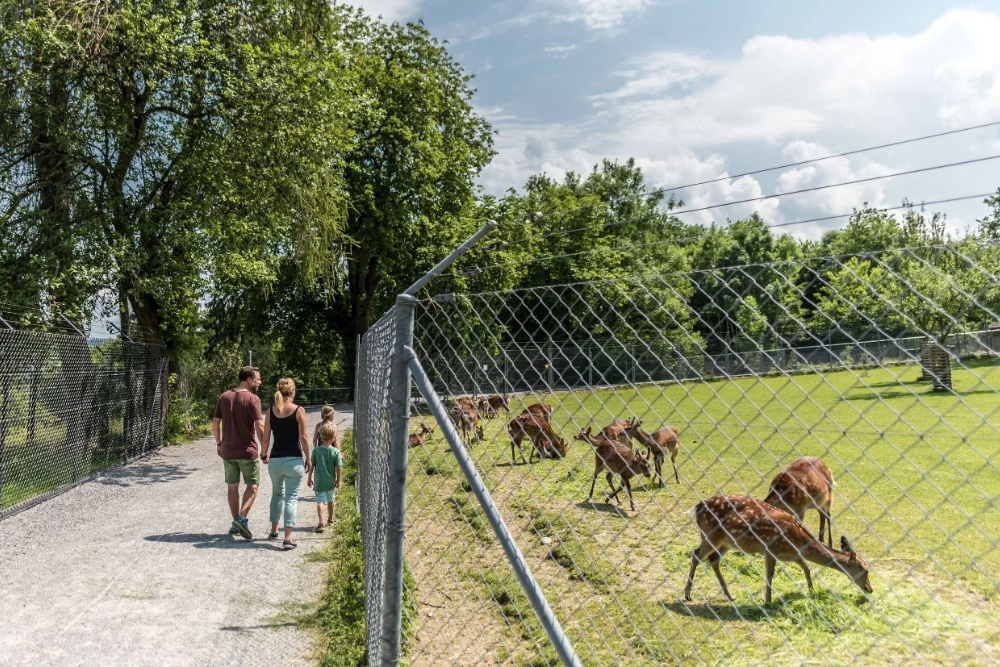 Wild Park Peter and Paul