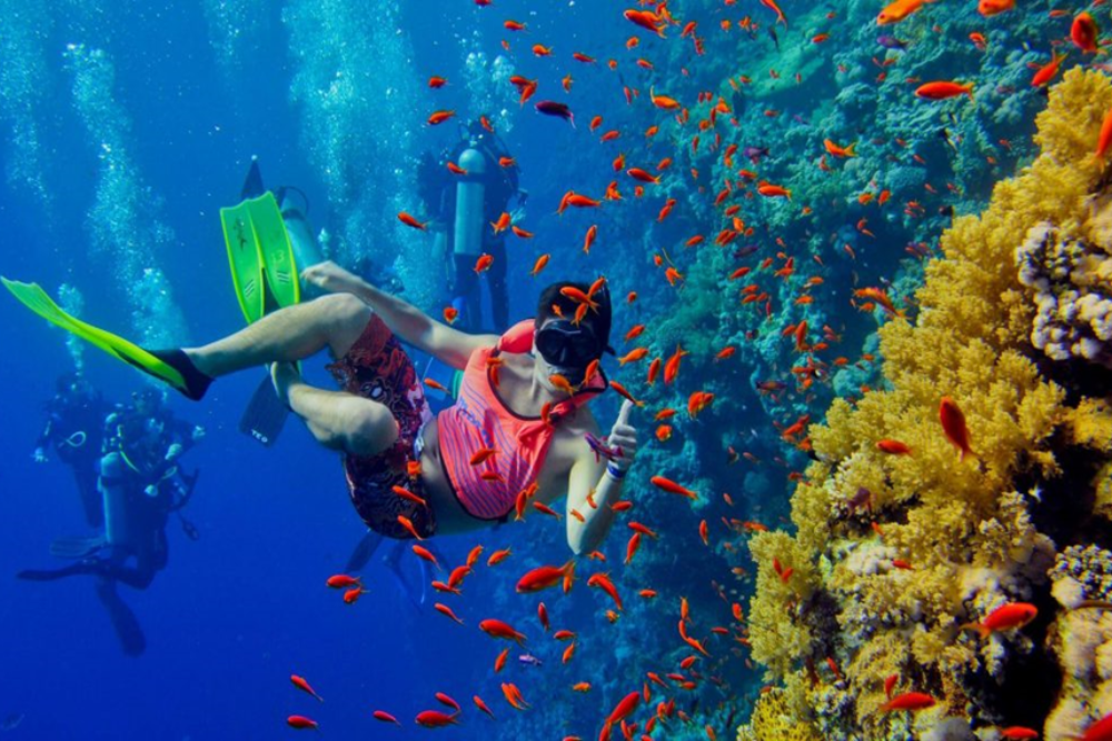 Diving and Snorkeling Excursions