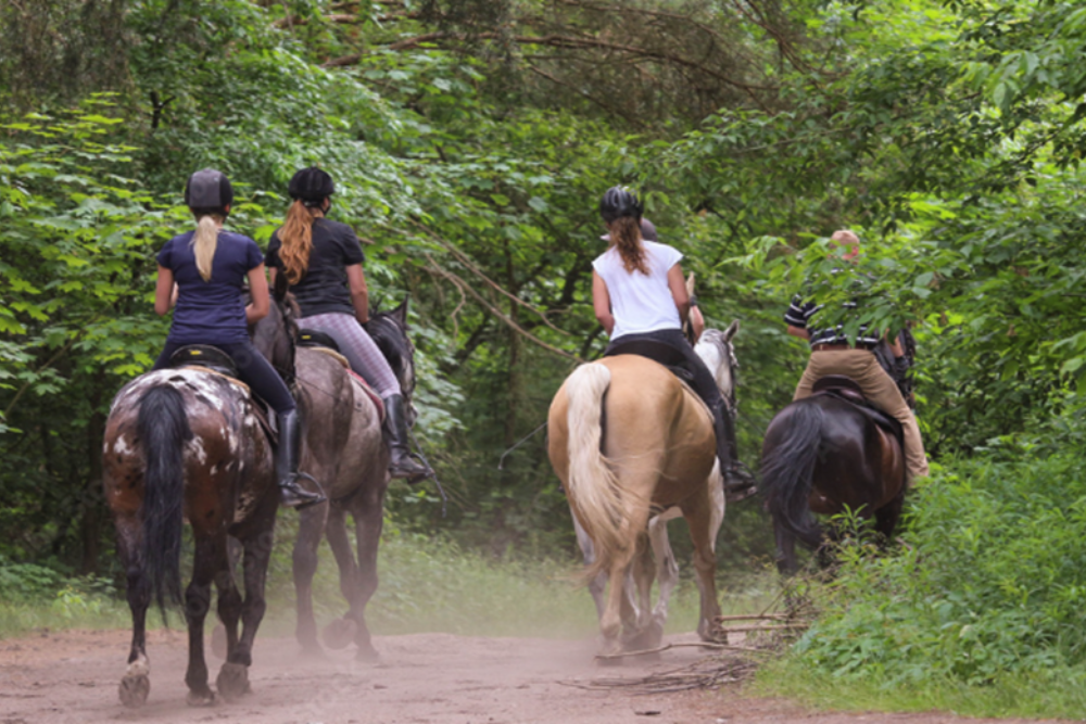 Horseback Riding