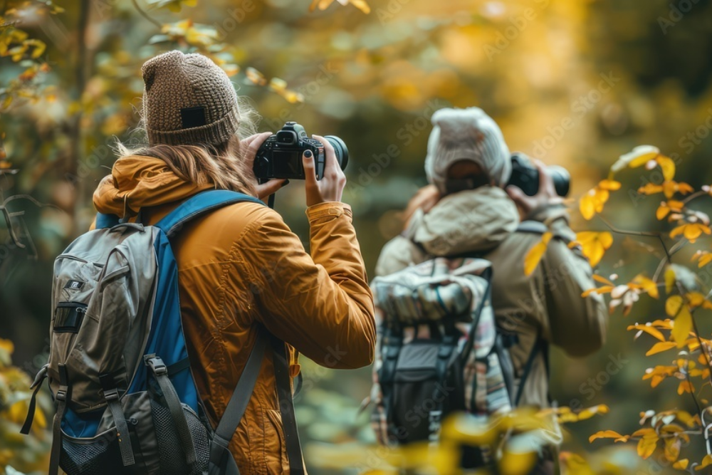 Birdwatching and Natural life Investigation in the Po Delta