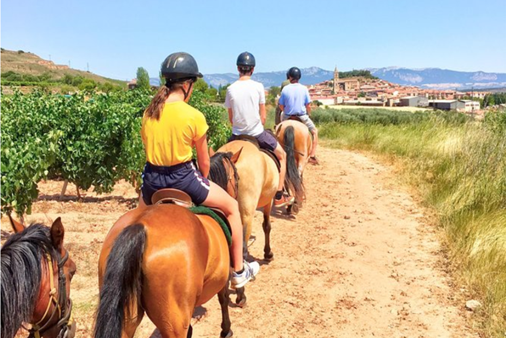 Horseback Riding in the Vineyards