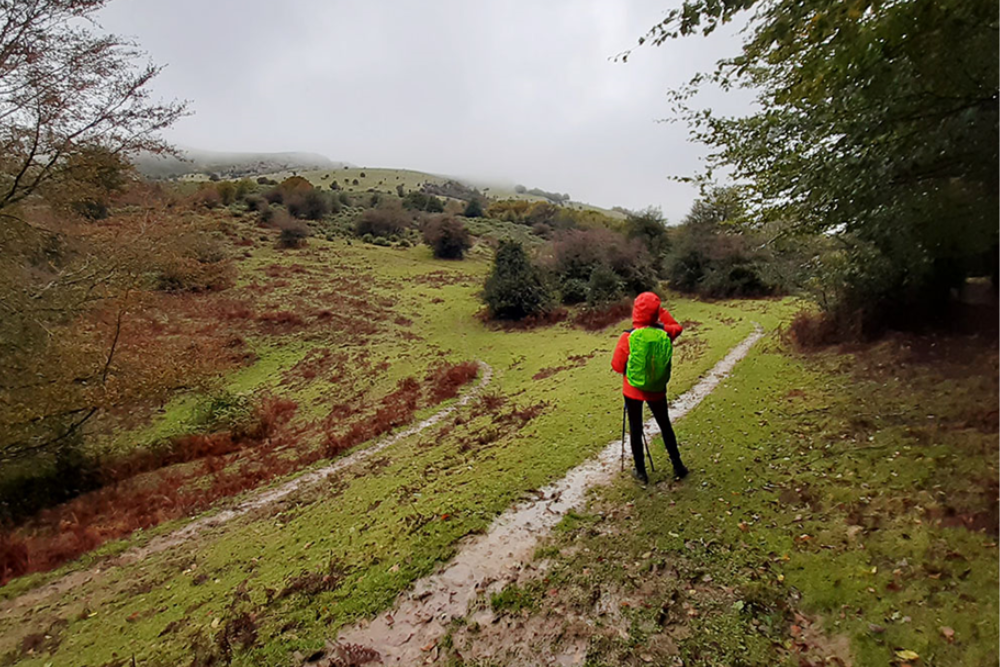 Climb in the Encompassing Nature