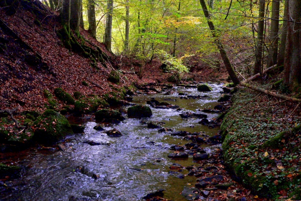 Natural park Schonbuch