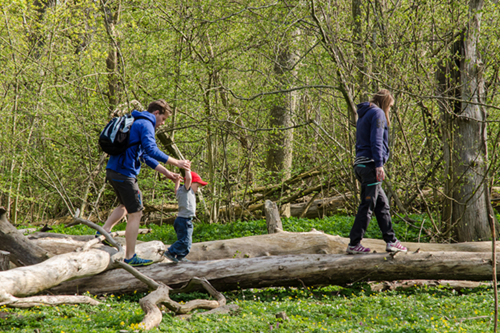 Hiking in Skrylle Nature Reserve