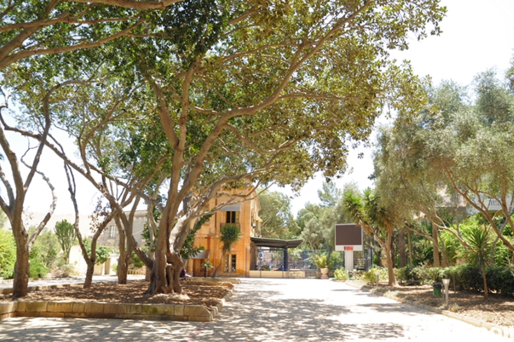 Birkirkara Valley Park