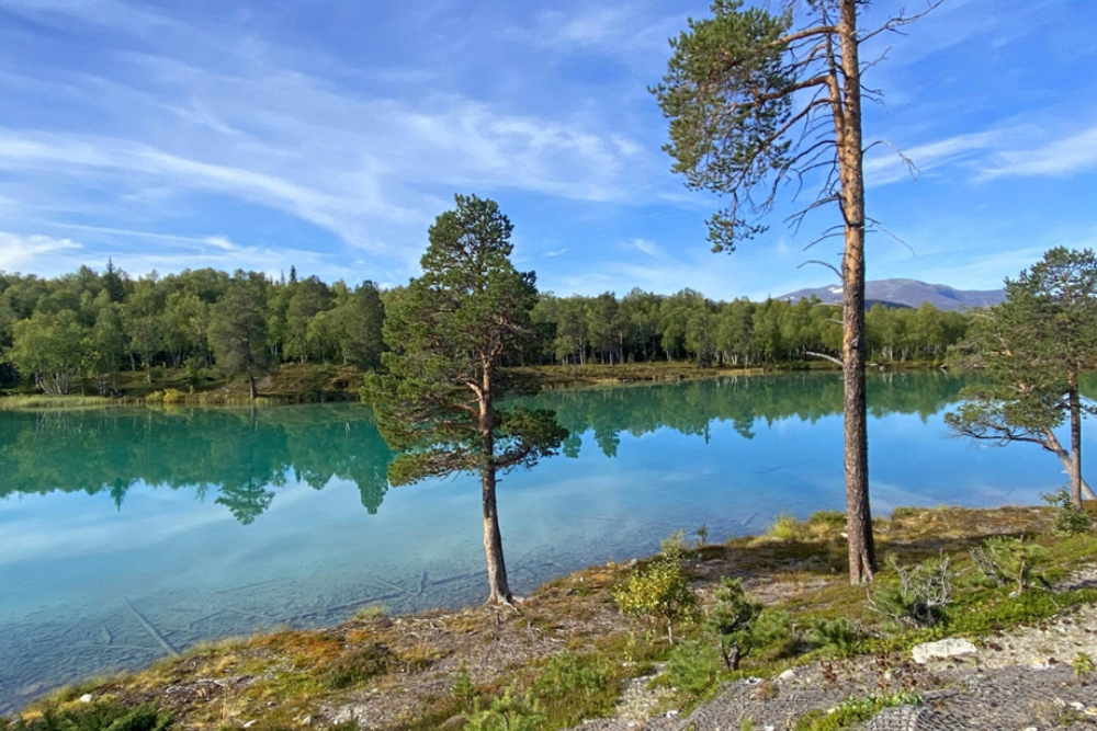Fjallbacka Nature Reserve