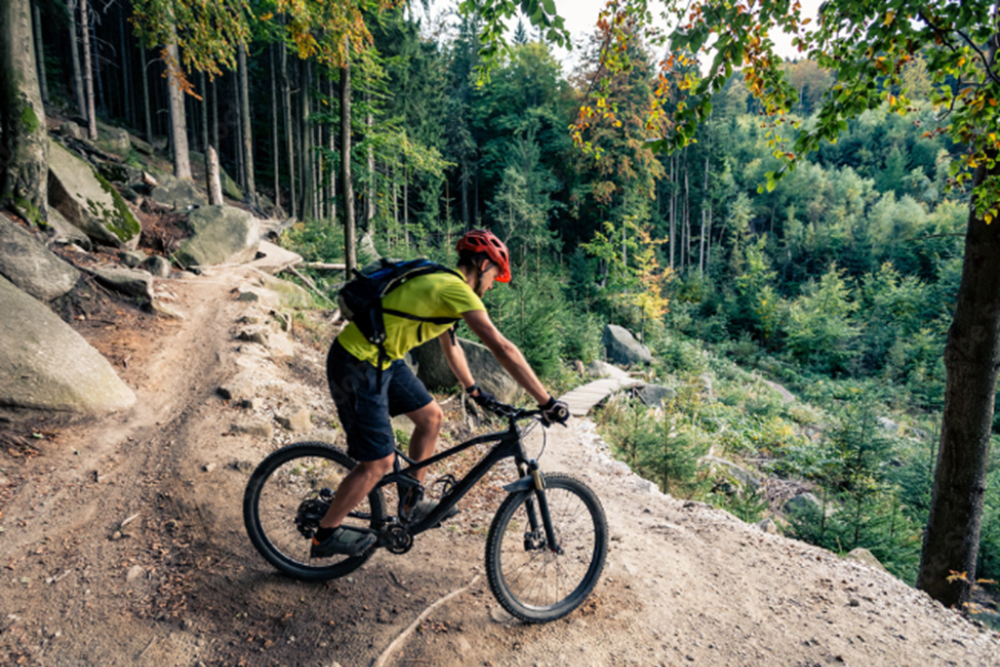 Mountain Biking on Ricken Pass