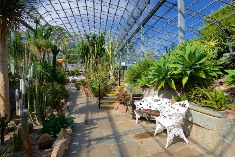 Duthie Park and Winter Gardens