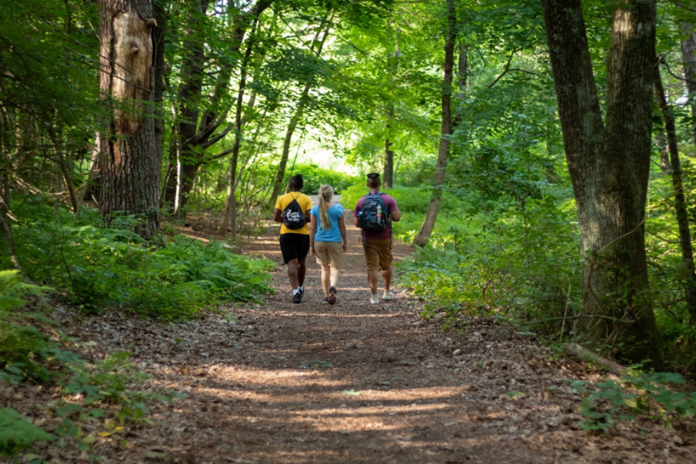 Hiking and Walking Trails