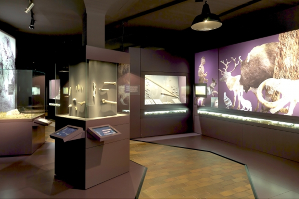 Museum zu Allerheiligen