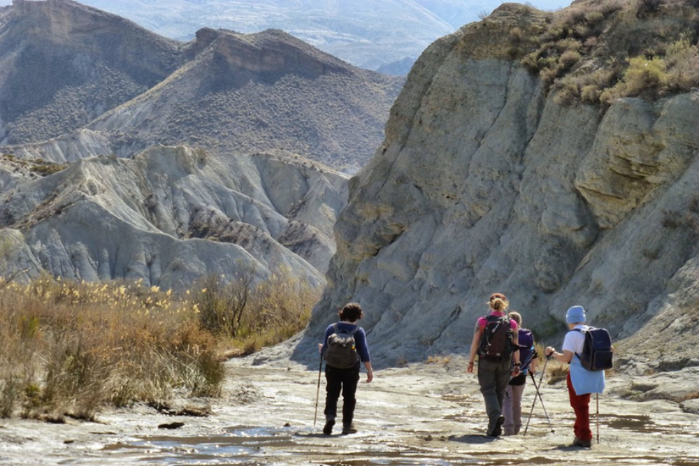 Tabernas Desert