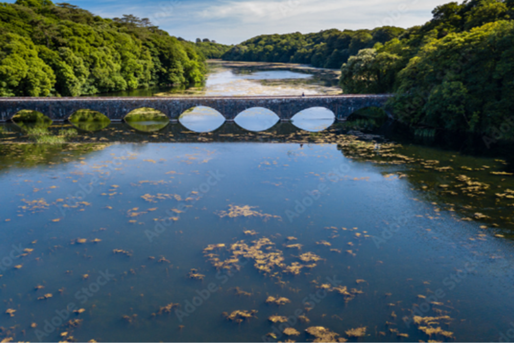 Bosherston Lakes and Lily Ponds
