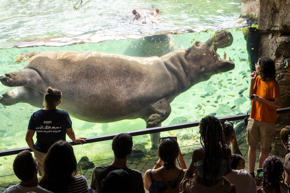 Bioparc Valencia