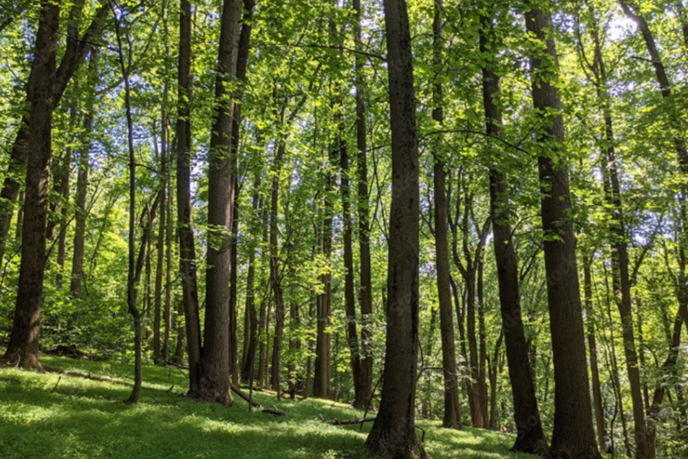 Harpers Ferry National Historical Park