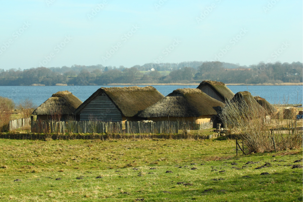 Schleswig and Viking History
