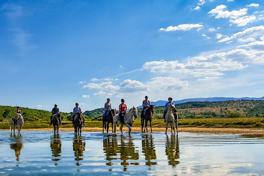 Horseback Riding at the Adriatic Coast