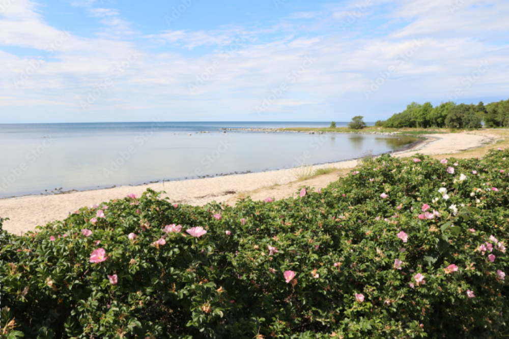 Visby’s Beaches
