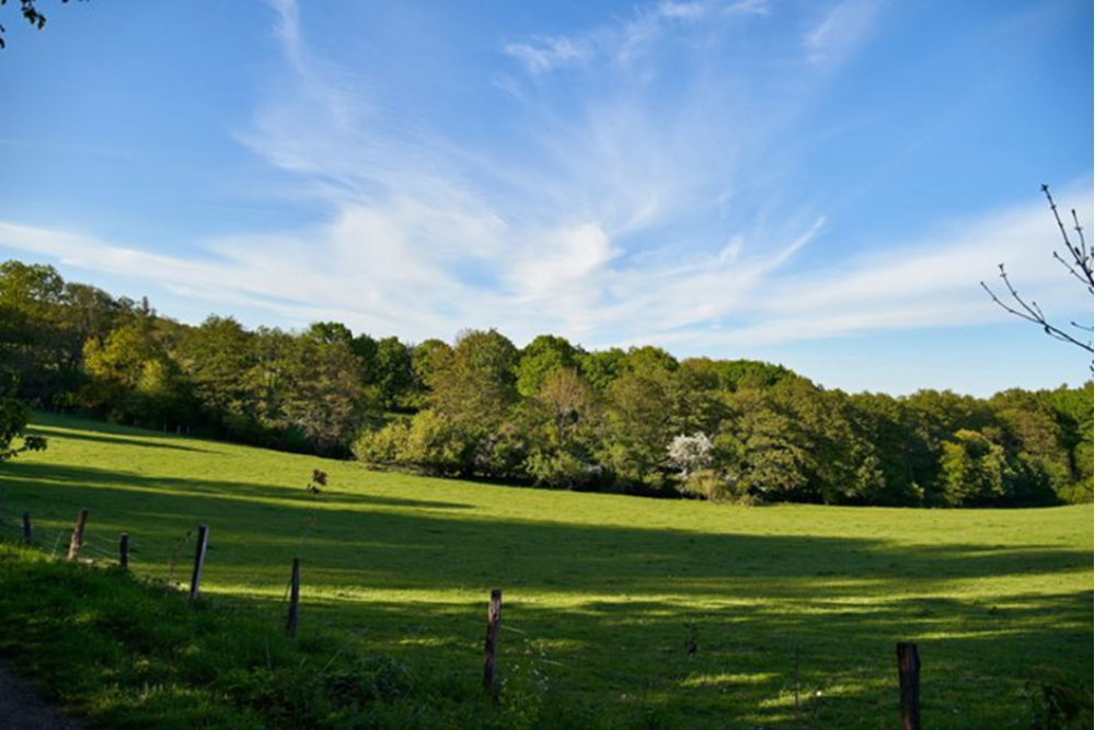 Donche Nature Reserve