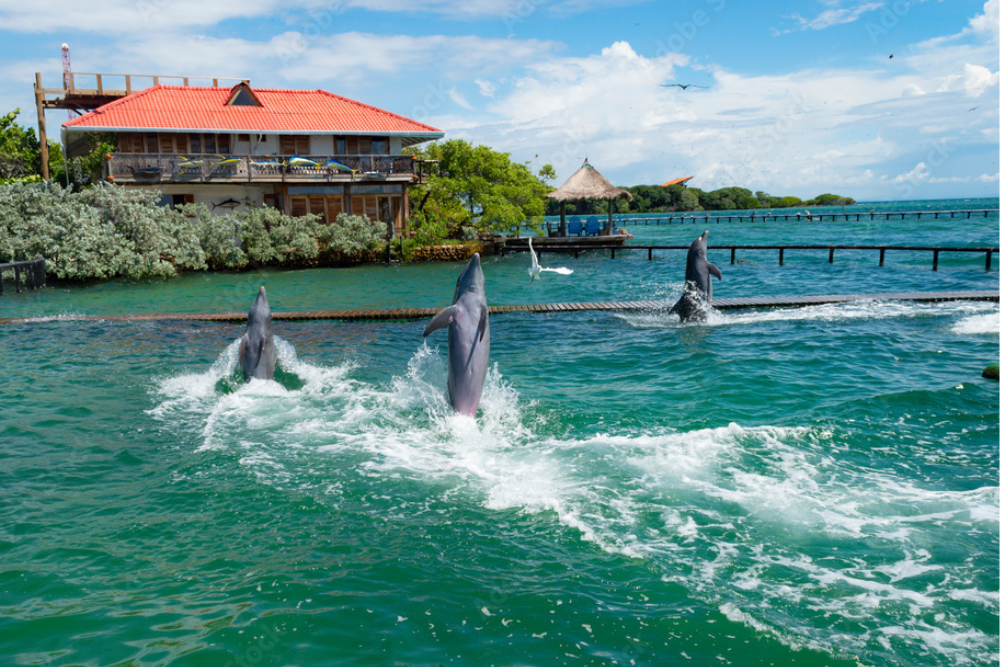 Oceanarium Sea Shores: