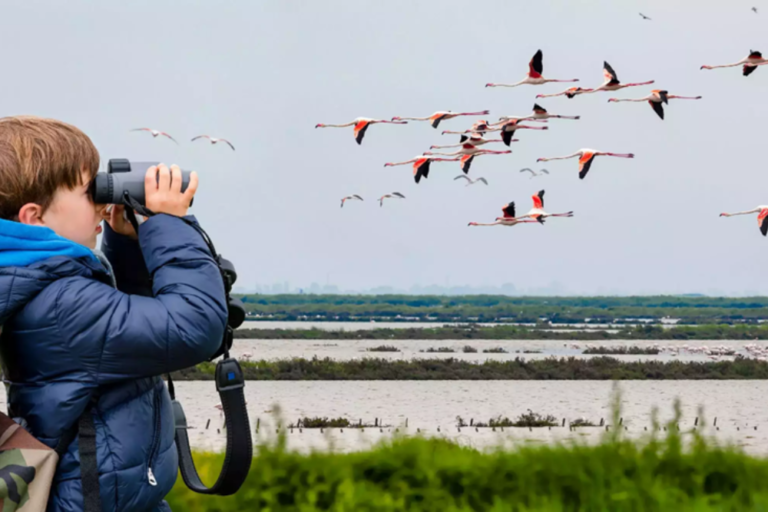 The Best Locations for Birdwatching in Malaysia