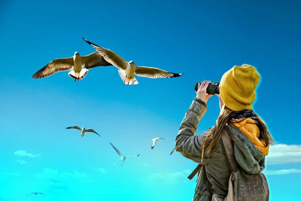 Birdwatching in Llanos de Caceres