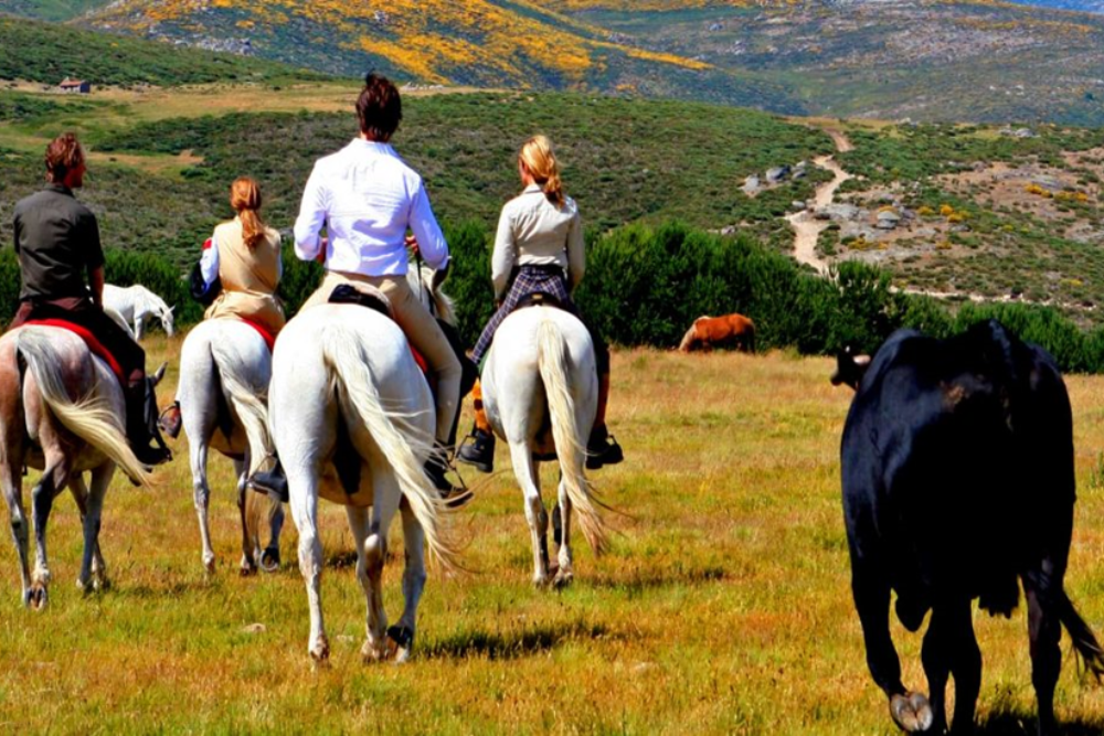 Horseback Riding Through Castilian Countryside