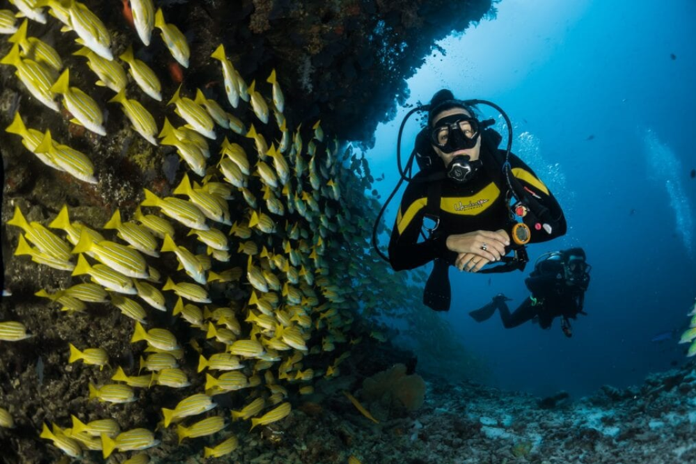 Scuba Diving