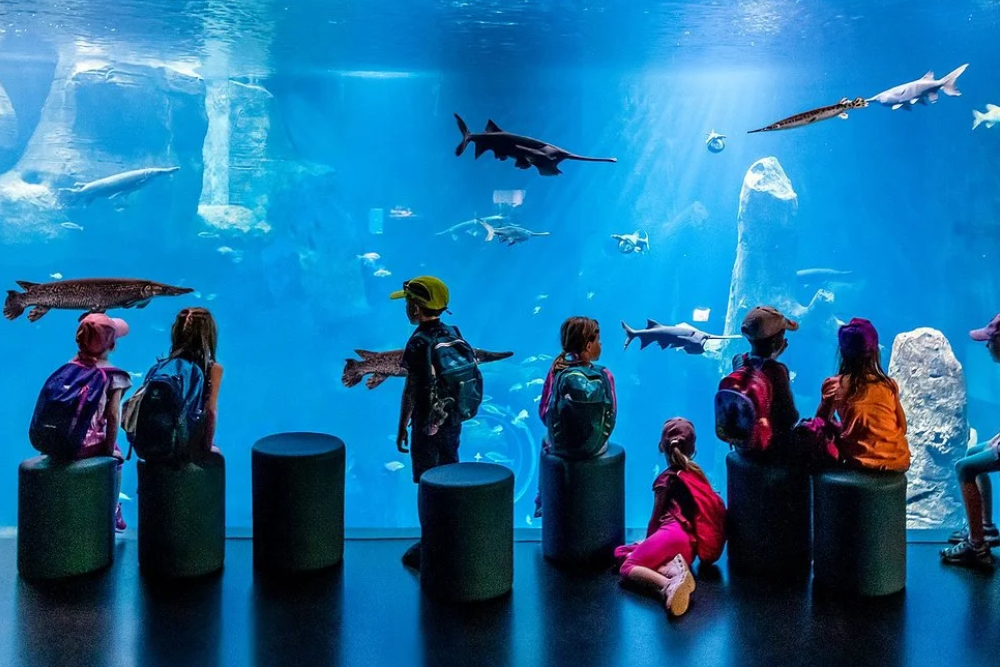 Aquatis Aquarium-Vivarium