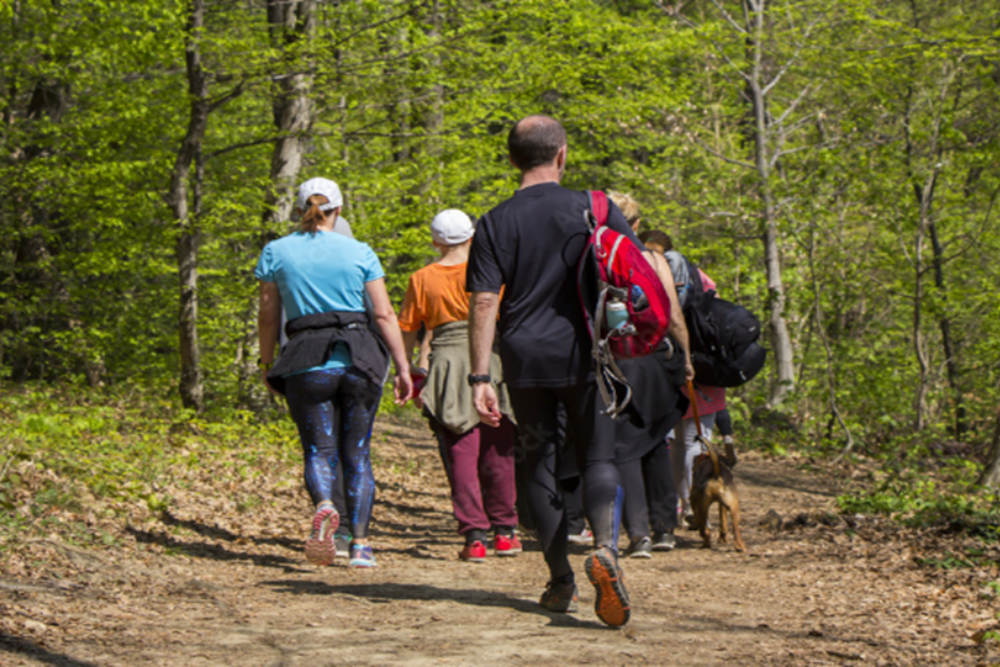 Hiking and Nature Walks