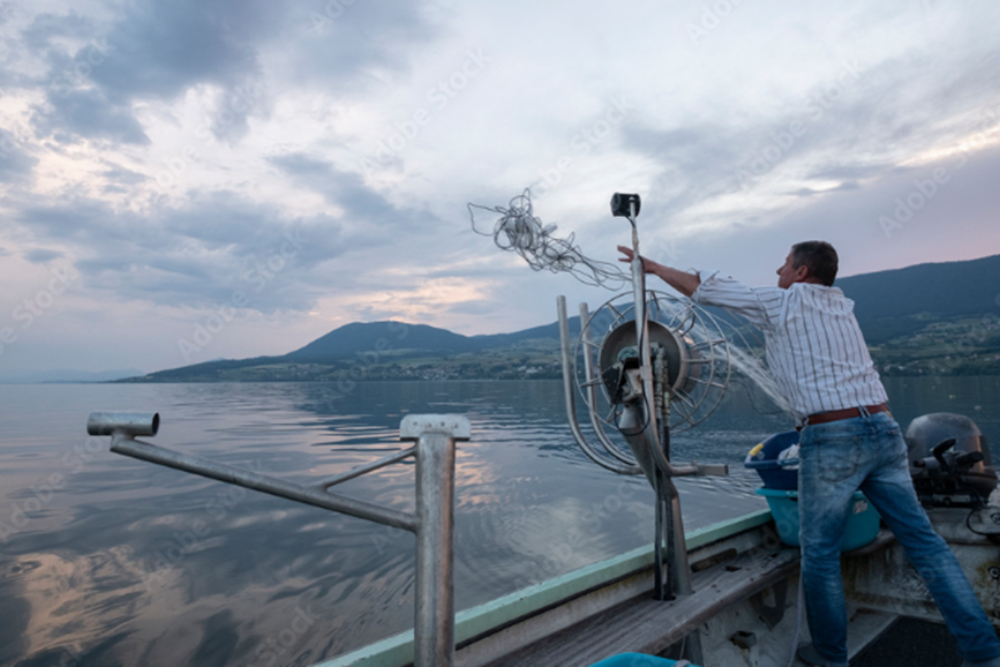 Fishing at Lake Neuchatel