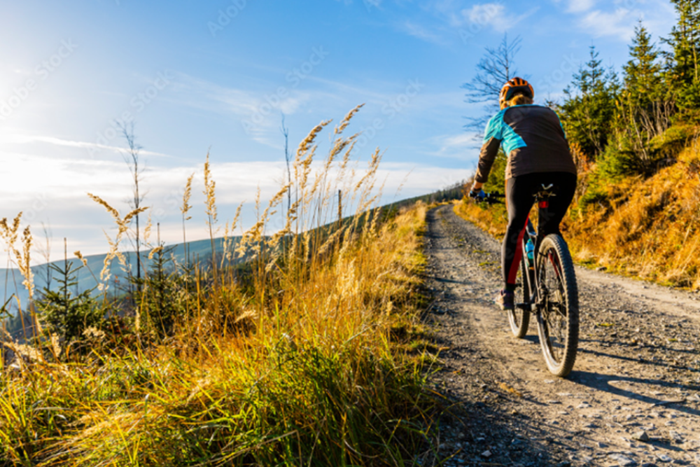 Hiking and Biking