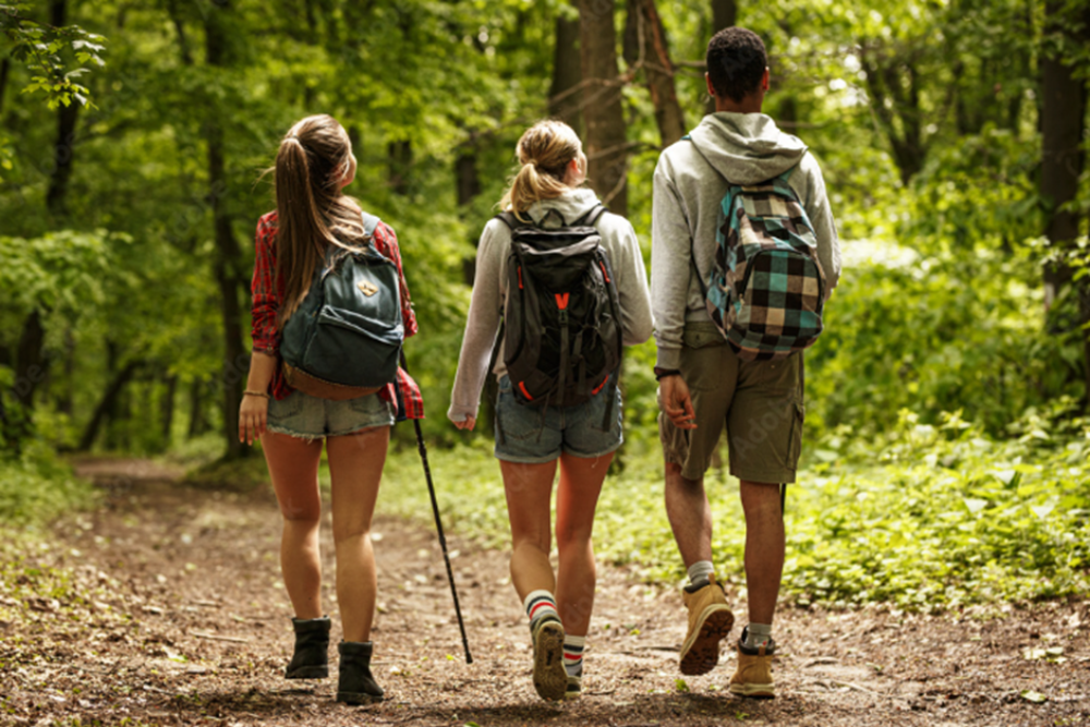 Hiking and Nature Walks